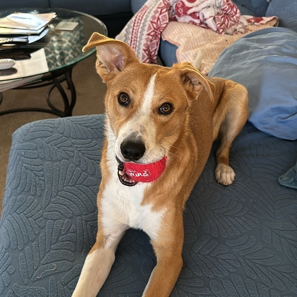 Meet your Posher, Janet - Picture 5 of 5